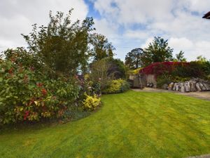Front Garden- click for photo gallery